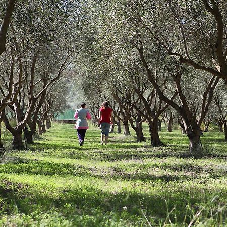 Agriturismo A'Sena-Runcatini Ciminà Exteriör bild