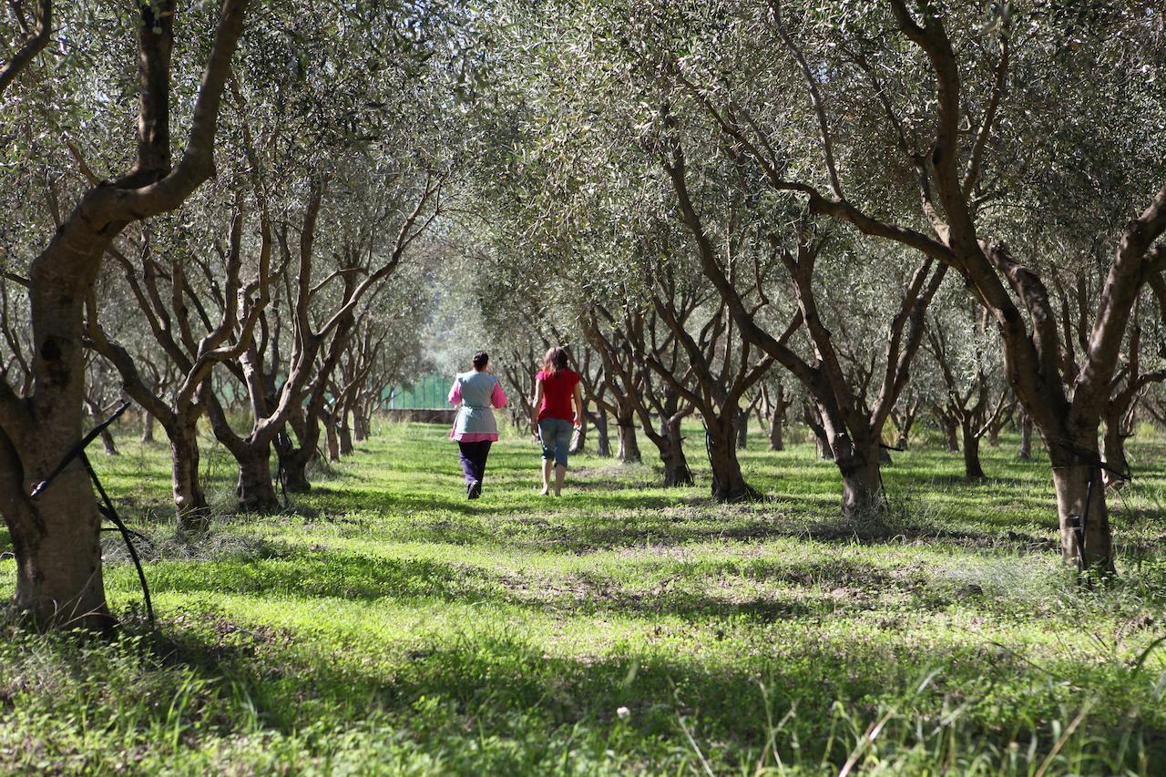 Agriturismo A'Sena-Runcatini Ciminà Exteriör bild